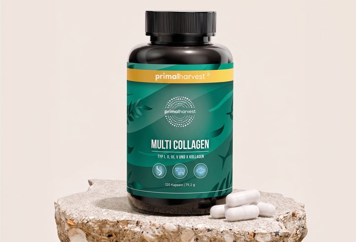 Dein Multi-Collagen-Ritual in 5 Sekunden