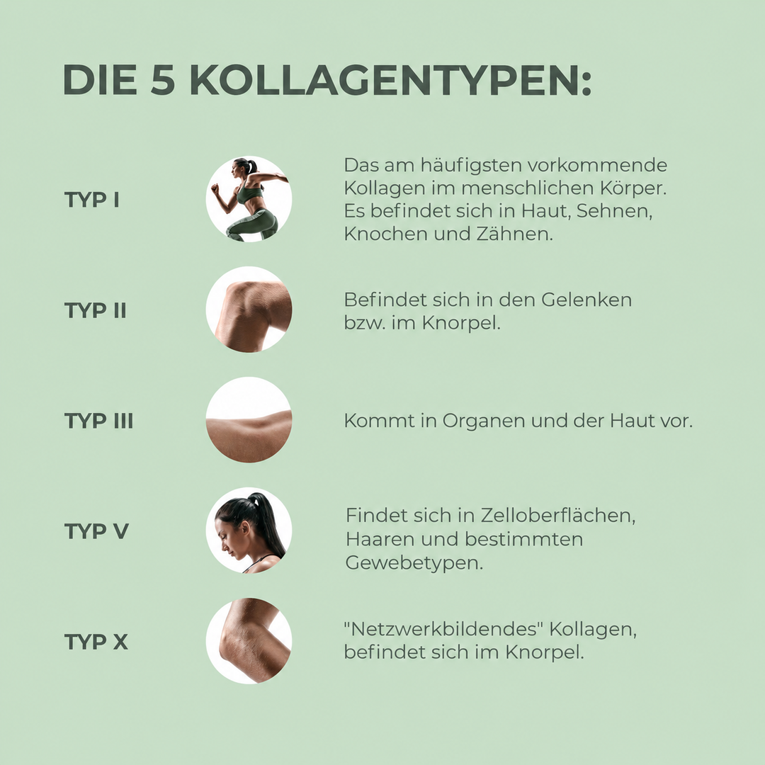 Multi-Collagen