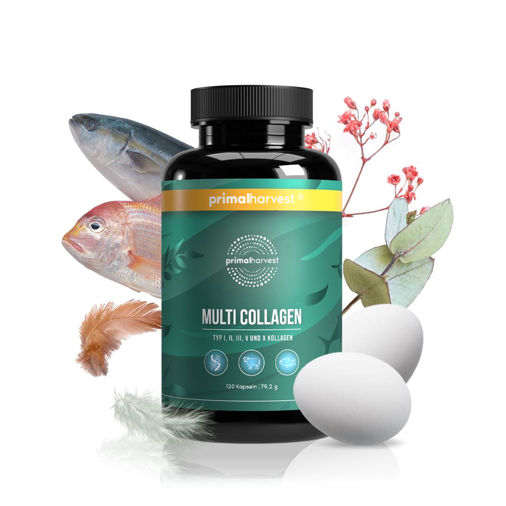 Multi-Collagen
