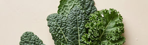 Grünkohl (Kale)