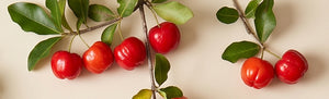 Acerola (natürliche Vitamin-C-Quelle)